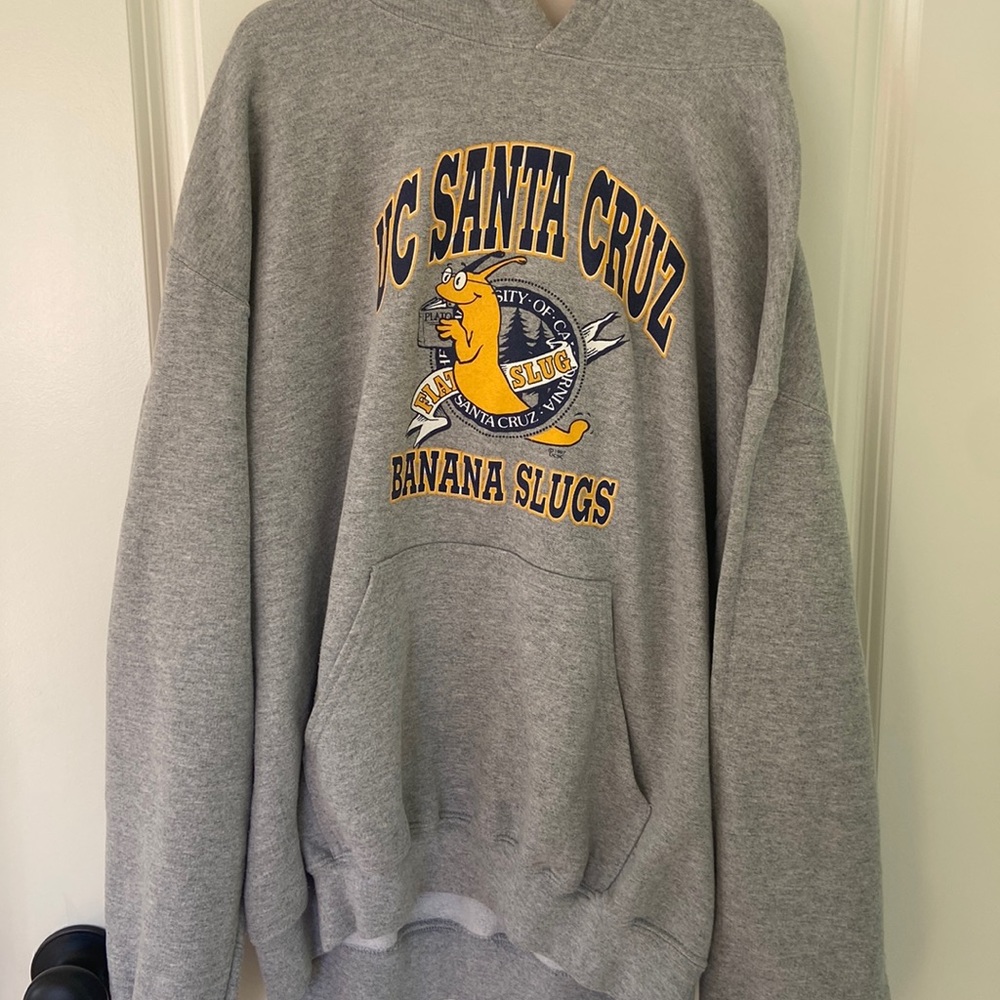 super cute gray UC Santa Cruz sweatshirt